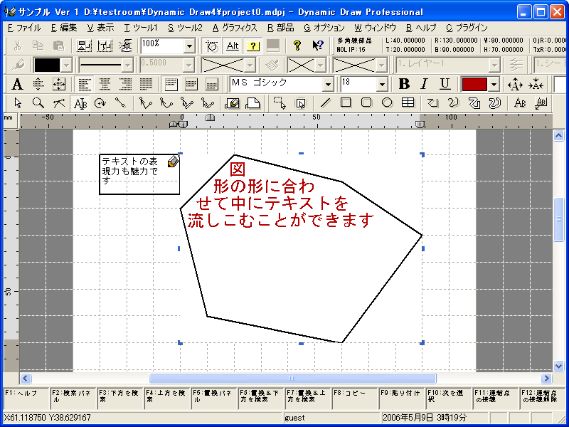 Dynamic Draw Professional