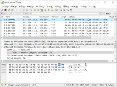 Wireshark